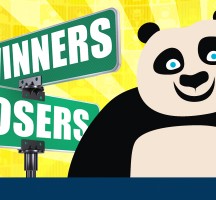Panda 4.1 Winners and Losers Revealed